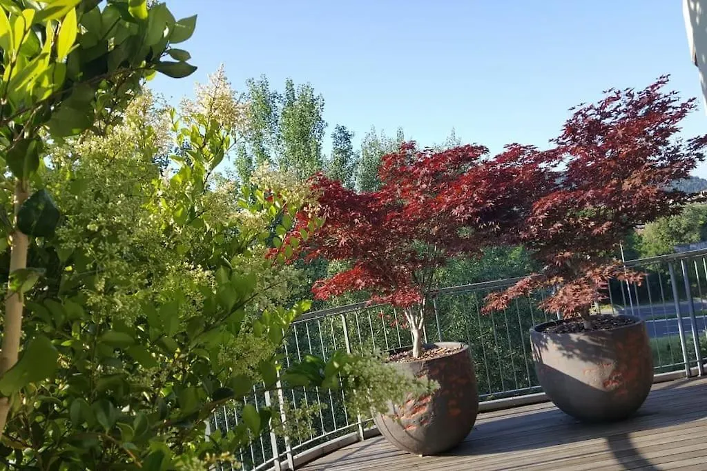 Appartamento Vista San Luca Con Terrazza Panoramica Bologna 0*,
